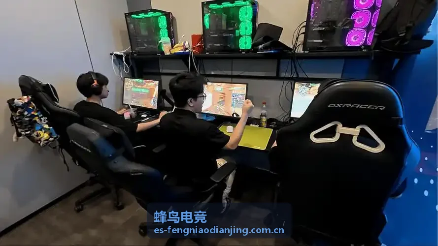 版本更新速览观赛攻略